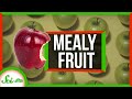 What Makes Fruit Mealy?