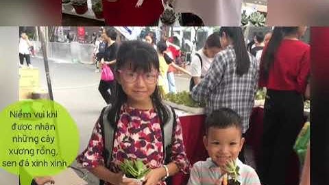 Đại sứ xanh - Lưu Bảo Trang 5C - TH Tràng An