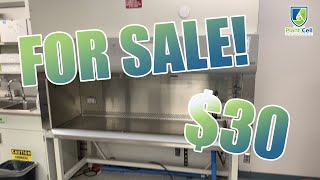 Should I Buy this Laminar Flow Hood I Found for Auction?
