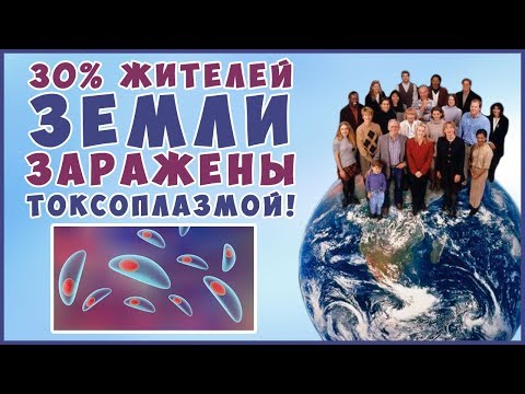 ТОКСОПЛАЗМОЗ! Чем опасна токсоплазма. Заражение от кошек! Что делать?