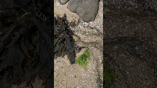 ECE3006 AT1- Connection to place through science and mathematics