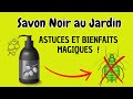 Les utilisations magiques du savon noir au jardin et potager