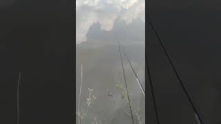 hari ini kita nyoba mncing di spot kemaren