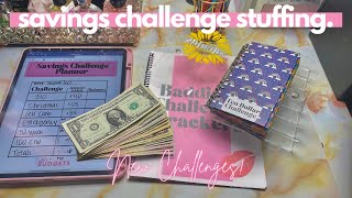 Savings Challenge Stuffing | $20,000 in Challenges|  OhmyfroBudgets