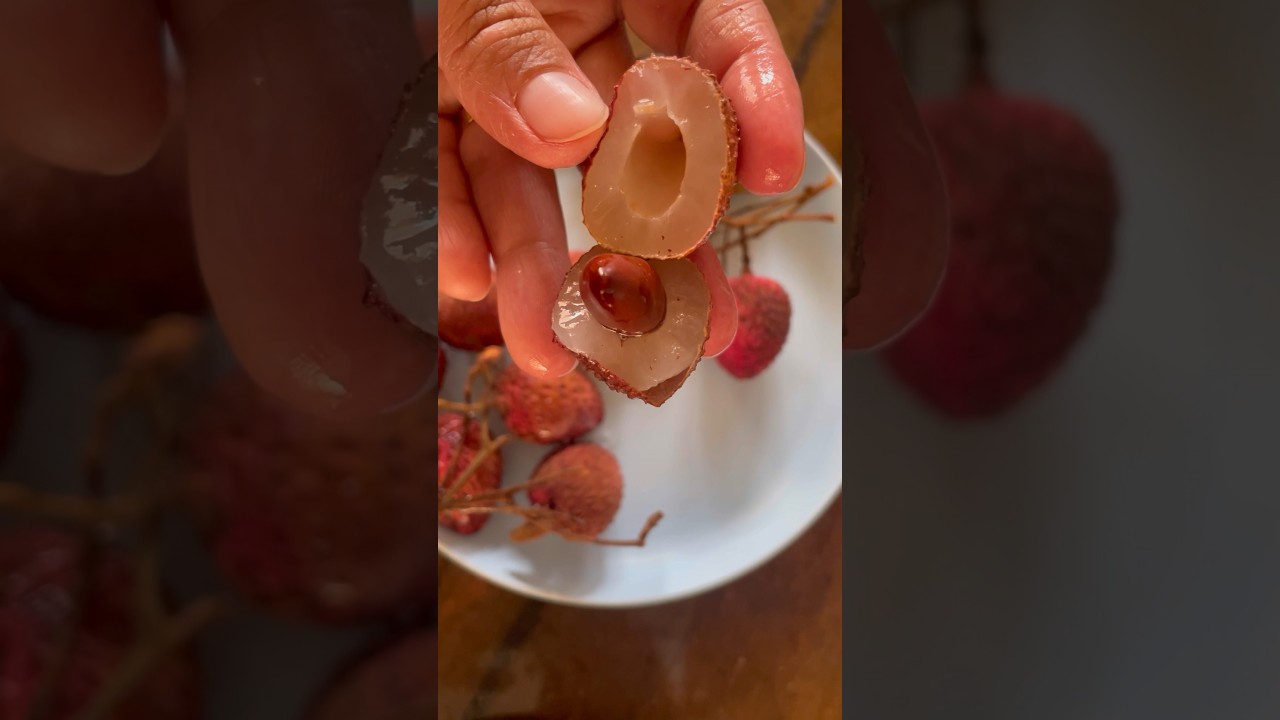 How to cut Lychee fruit || Kaise Kate Litchi fruit 