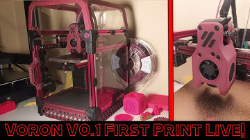Voron V0.1 First Print Live!