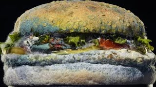 Gross Things You Should Know About Burger King