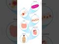 Anatomy and physiology #medicalcoding