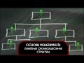 Основы менеджмента. Линейная организационная структура.