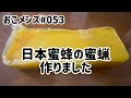 日本蜜蜂の蜜蝋作り 巣の搾りかすを煮てミツロウを作ってみた