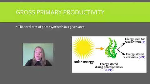 AP Env Sci Topic 1.8 Primary Productivity