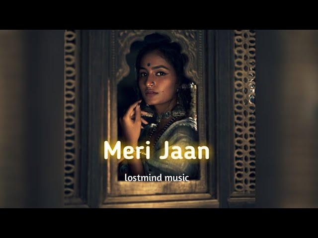 Meri Jaan [Slowed +Reverd] - Nerti mohan|Gangubai | lostmind music | textaudio || class=
