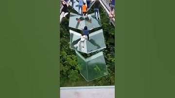 Would YOU Survive This Glass Bridge Collapse? 😱  |AI Simulation #memes  #ai #aivideo #