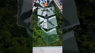 Would YOU Survive This Glass Bridge Collapse? 😱  |AI Simulation #memes  #ai #aivideo #