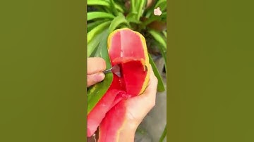 RevolutioExplore how cutting-edge AI tools can completely transform