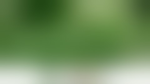 A&L Webinar: Cannabis Plant Nutrient Tissue Testing Analysis - Getting Started