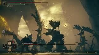 4.6B Xp Old School Player Versus Big Flower