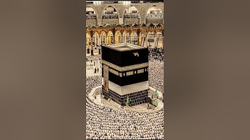 سورة يس . الشيخ سعد الغامدي