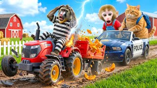 🐵🐱 Monkey & Fat Cat Help Police Catch the Fruit Thief and Fix Their Broken Tractor Together