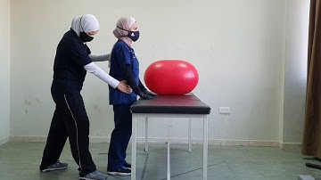 Modified Plantigrade Stability: Rhythmic Stabilization