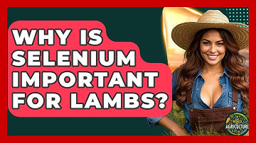 Why Is Selenium Important For Lambs? - The World of Agriculture