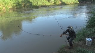 ขึ้นไว ลงโคตรไว ไม่ไหวก็กลับบ้าน ตกปลากด ระดับน้ำกำหนดปริมาณปลา [ งัดวัง Fishing For Catfish ]