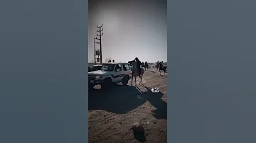 إن كان ح بي لـ بني عطيه تعنصر يامرحبا ملللليون بالعنصريۿ 