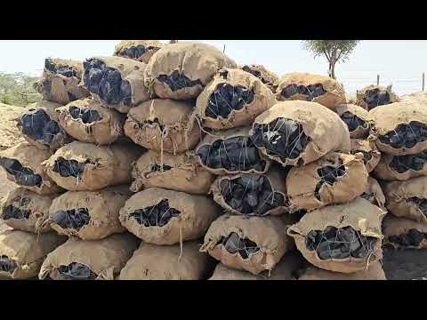 Charcoal Source