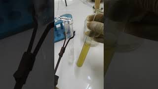 Brown Ring Test | Nitrate Test | Anion Analysis Class 12 Chemistry Practical