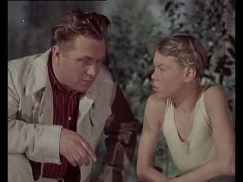 Серый разбойник (Моснаучфильм, 1956)