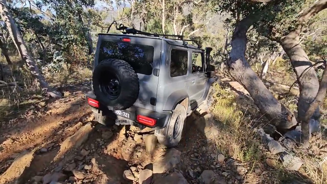 Scratching of Jimny Pyrenees forest