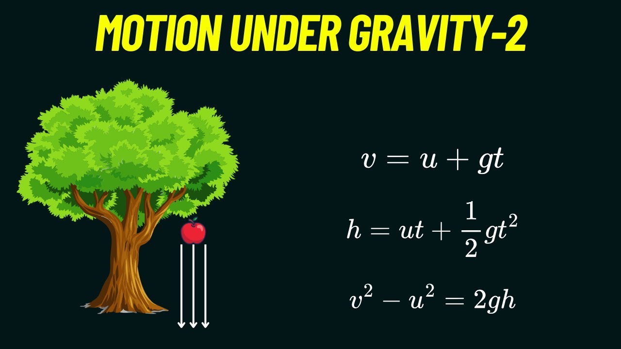 Motion under the Gravity | PART-2 | Kinematics - YouTube