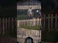 DayZ - один выстрел два трупа #dayz #дейз