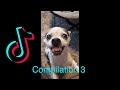 Funny TikTok Compilation 3 || ROCCOPIAZZA