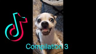 Funny TikTok Compilation 3 || ROCCOPIAZZA