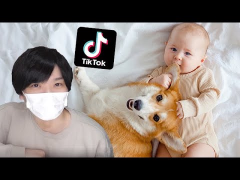 世界で最も可愛い動物TikTok動画集！