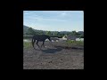 The Swon Brothers - Hatfield’s Hideout Adventures (Behind the Scenes Video)