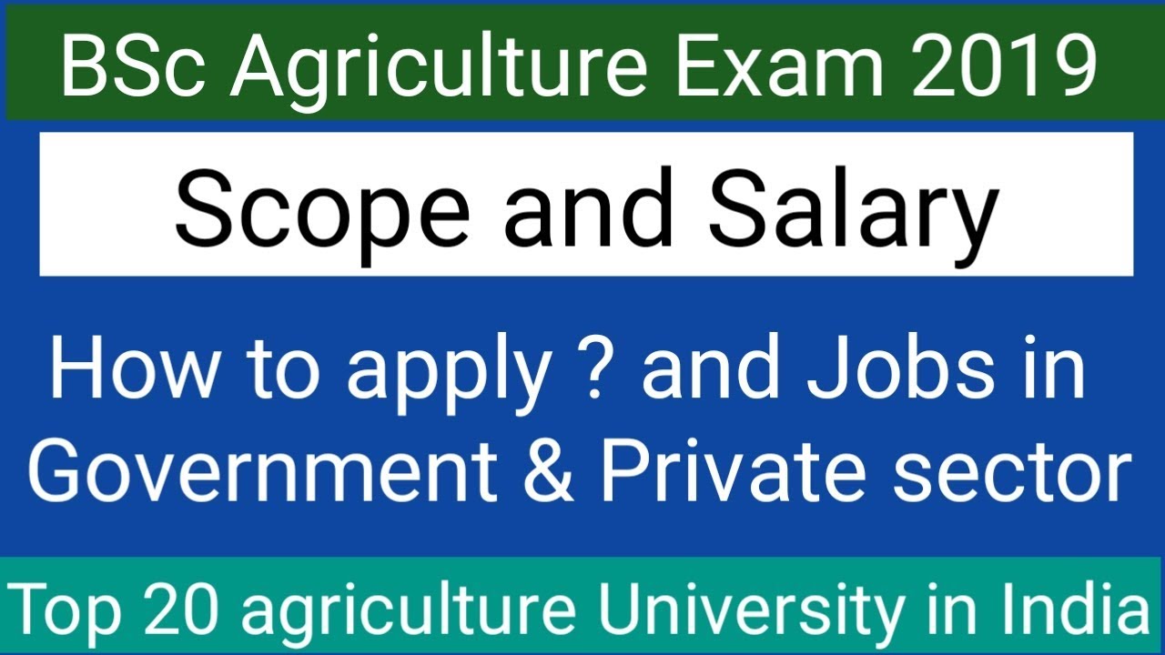 BSc Agriculture exam 2019 !! How to apply !! Top 20 agriculture University