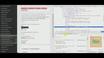 [Security] Bypass HTML Field Restrictions over Webgoat