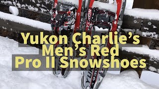 Yukon Charlie snowshoes Red pro 2, review up white pine trail Resimi