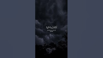 وَلا تَزِرُ وَازِرَةٌ وِزْرَ أُخْرَى ) القارئ.الشحات محمد انور.. #حالات_واتس #راحة_نفسية #ارحقلبك
