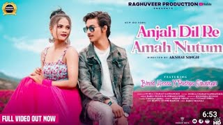 Anjah Dil Re Amah Nutum /New Ho Video Song 2023