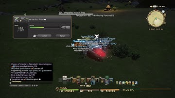 X6 Gather from Unspoiled Node