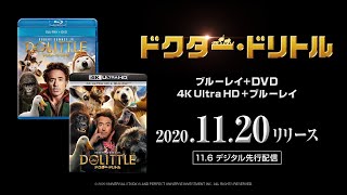 『ドクター・ドリトル』2020年11月20日(金)ブルーレイ&DVDリリース！2020年11月6日(金)先行デジタル配信