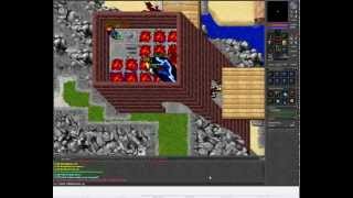 Phoenix hunt ; tibiafun.eu