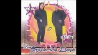 Mis Borracheras Los Originales De La Banda