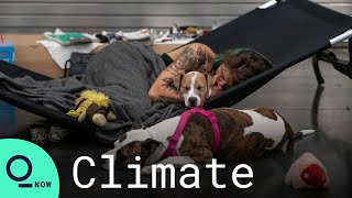 Ruthless Heat Wave Baking U.S. Northwest Triggers First Blackout