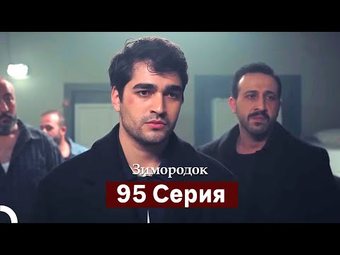 Зимородок 95 Cерия