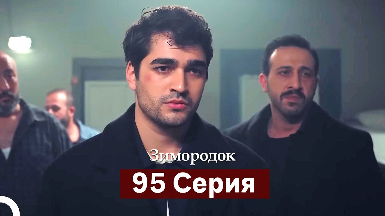 Зимородок 95 Cерия (Русский дубляж)