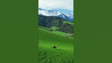 Xinjiang beauty | uyghur reigion China #travel